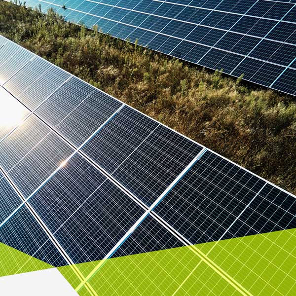 Nahaufnahme von zwei Solar Energie Reihen, leichte Vogelperspektive, zwischen den Reihen sind viele Wildwiesen Kräuter