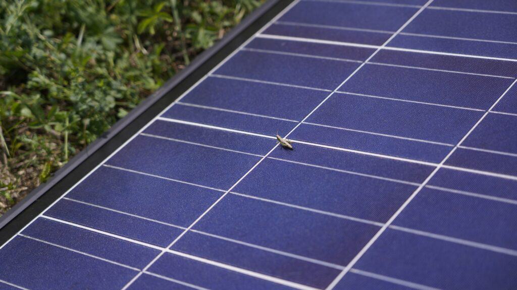 Eine sehr dichte Makro Aufnahme von einem Solar Panel auf dem ein kleines Insekt sitzt