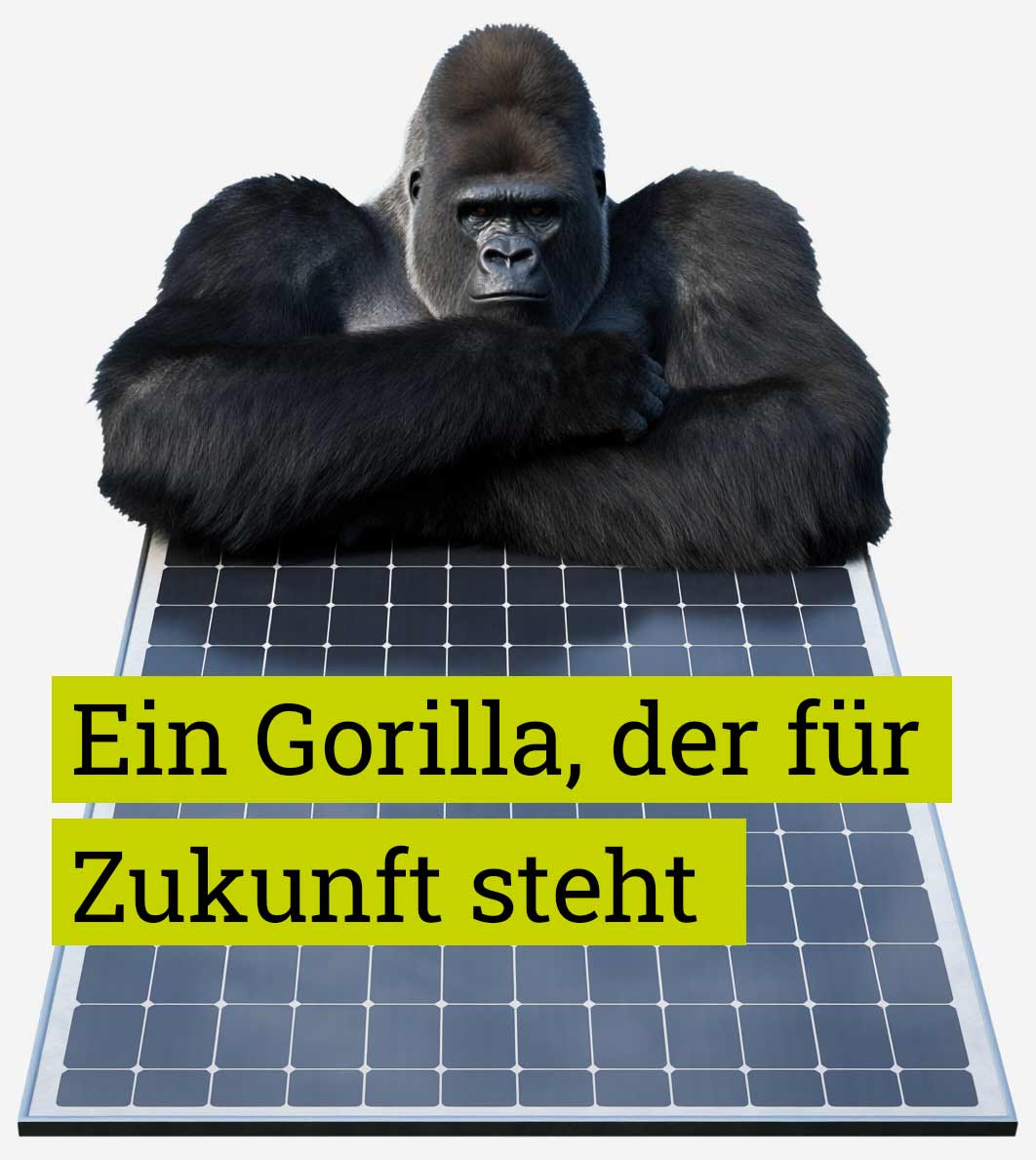 Ein schwarzer Gorilla legt seine verschrenkten Arme auf ein Solarpanel ab und hat seien Kopf auf den Armen gestützt. Auf dem Solarpanel sind zwei grüne Textboxen mit dem Inhalt: Ein Gorilla, der für Zukunft steht.