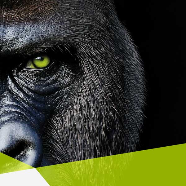 Ein Gorilla Gesicht ist vom linken Rand aus bis zur Hälfte zu sehen. Er hat ein grünes Auge.