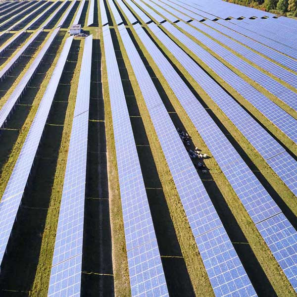 Aus der Vogelsperktive ist ein Solarpark zu sehen, Man sieht insgesamt 15 Reihen die vom vorderen Rand nach oben verlaufen. In ganz klein kann man eine Schafsherde erahnen.