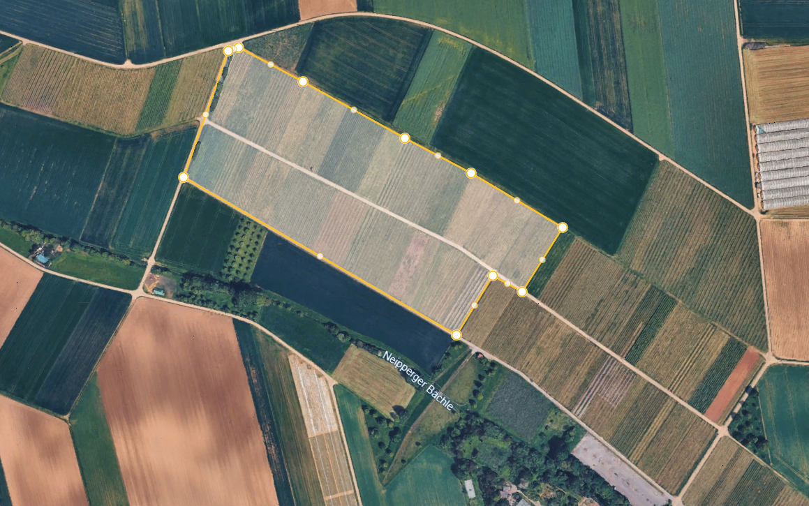 Vogelperspektive der markierten Rebfläche des Solarprojekts Brackenheim