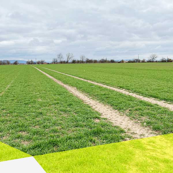 Ein großes Feld mit Rasen und zwei Fahrspuren Richtung Horizont. Bewölkter Himmel.